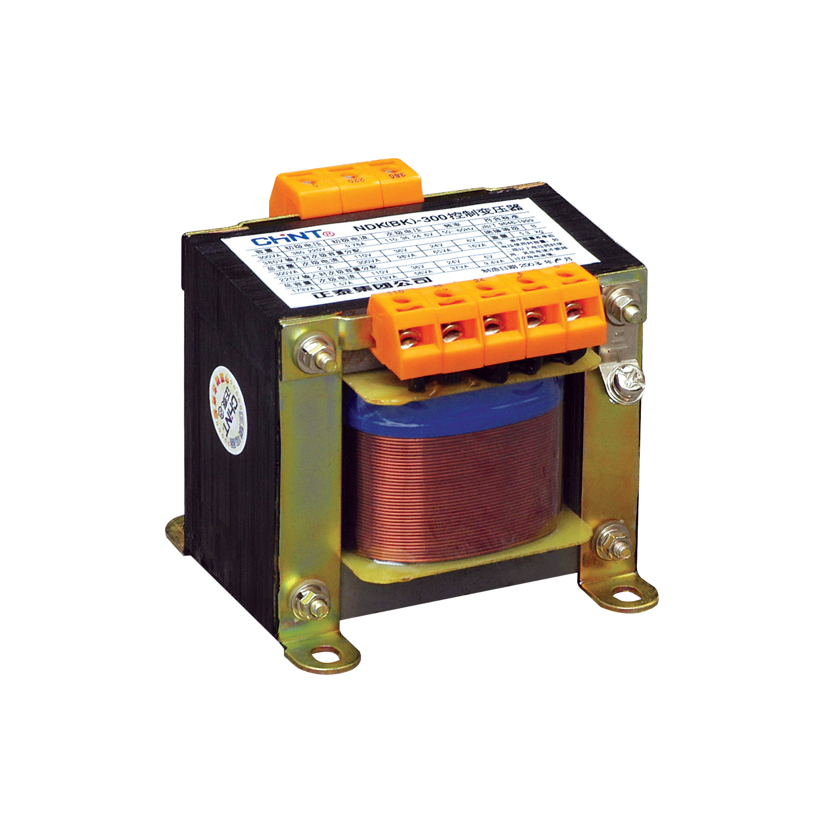 Chint Multi-voltage Transformer 100VA